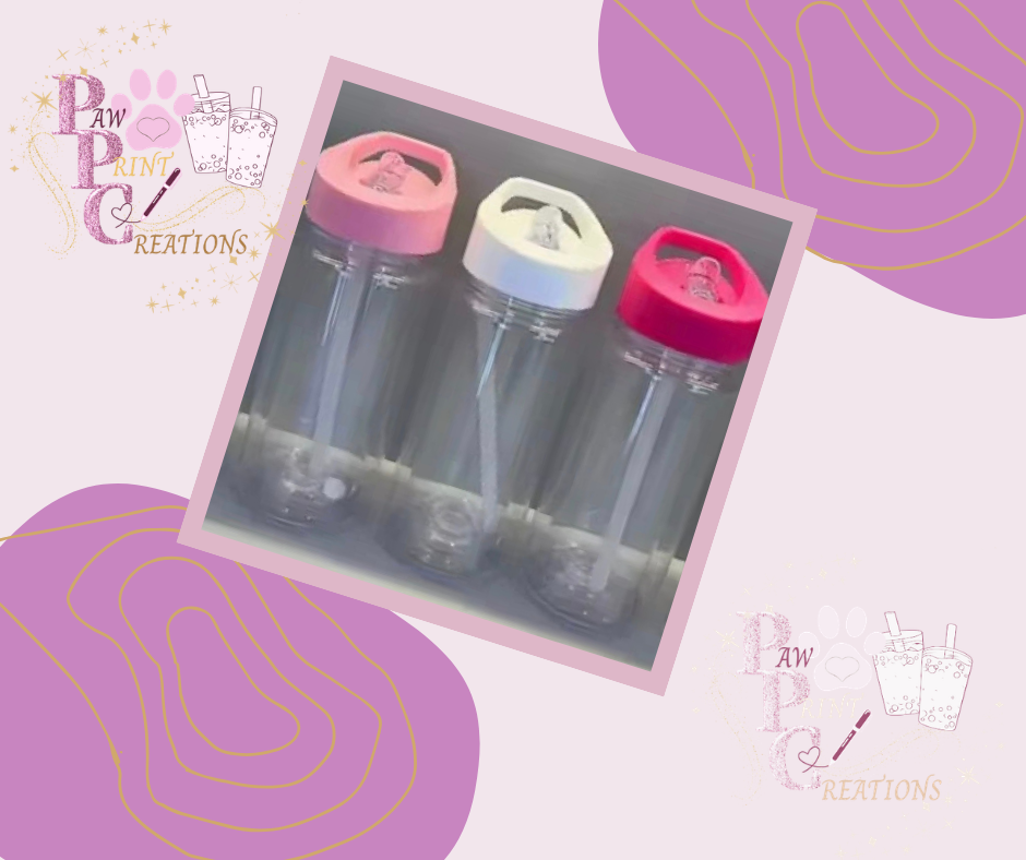 17oz Acrylic Flip Lid Snow Globe Tumbler